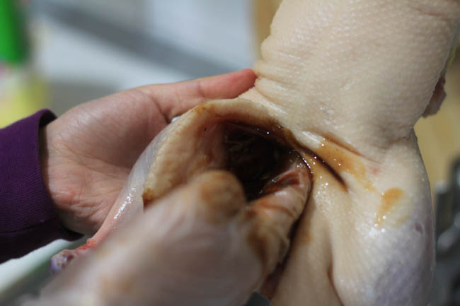 peking duck| chinasichuanfood.com