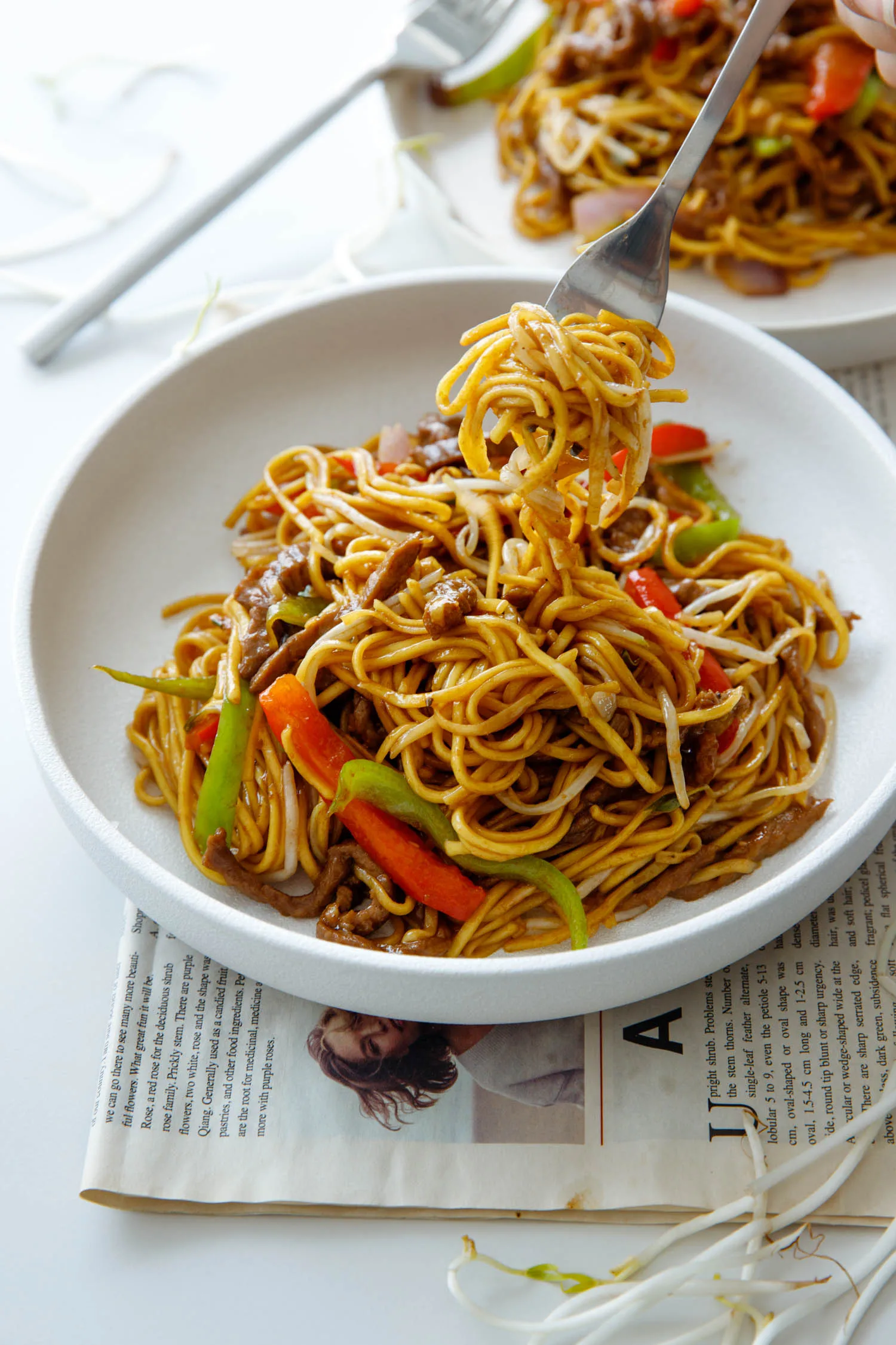 beef chow mein|chinasichuanfood.com