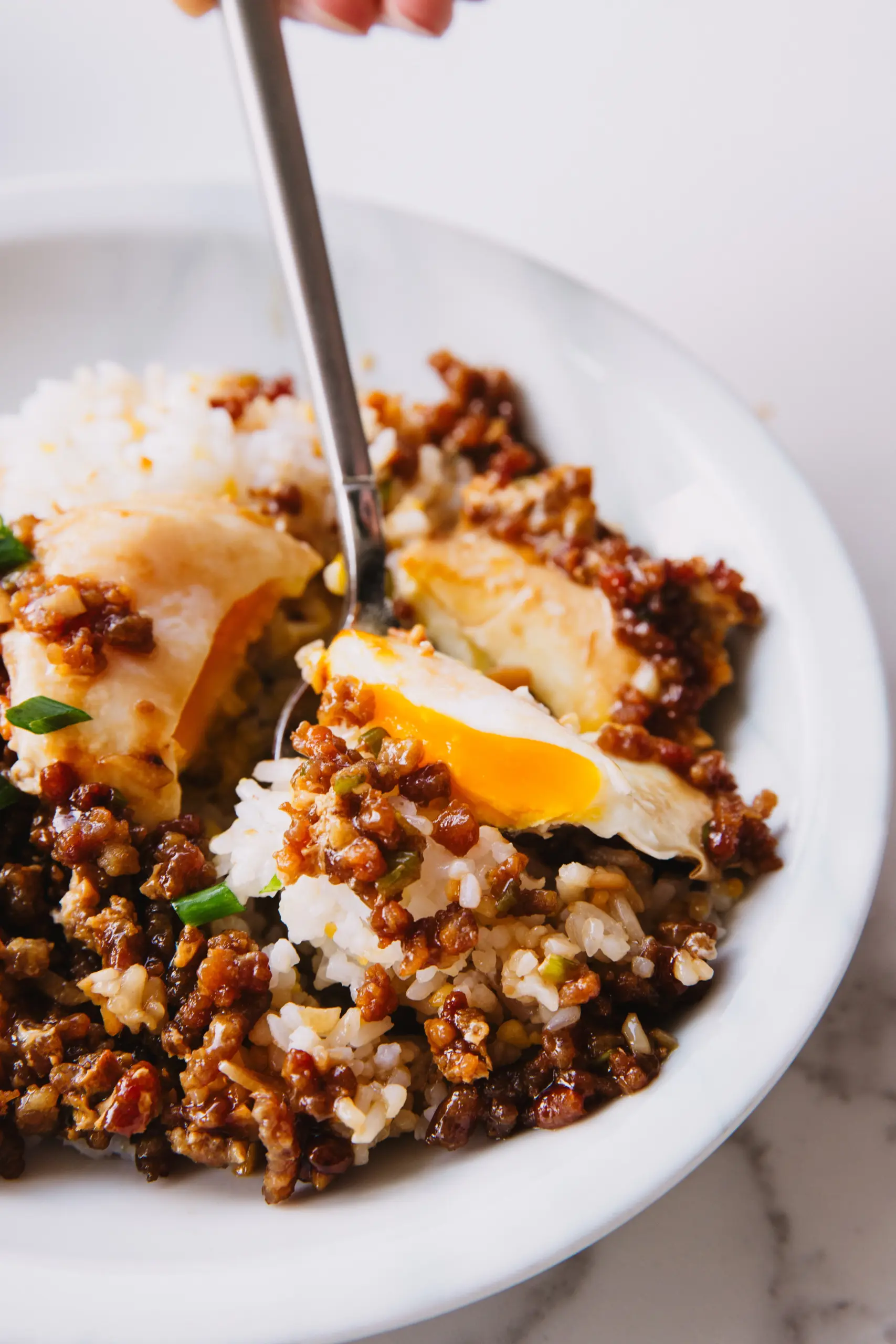 minced pork and egg | chinasichuanfood.com