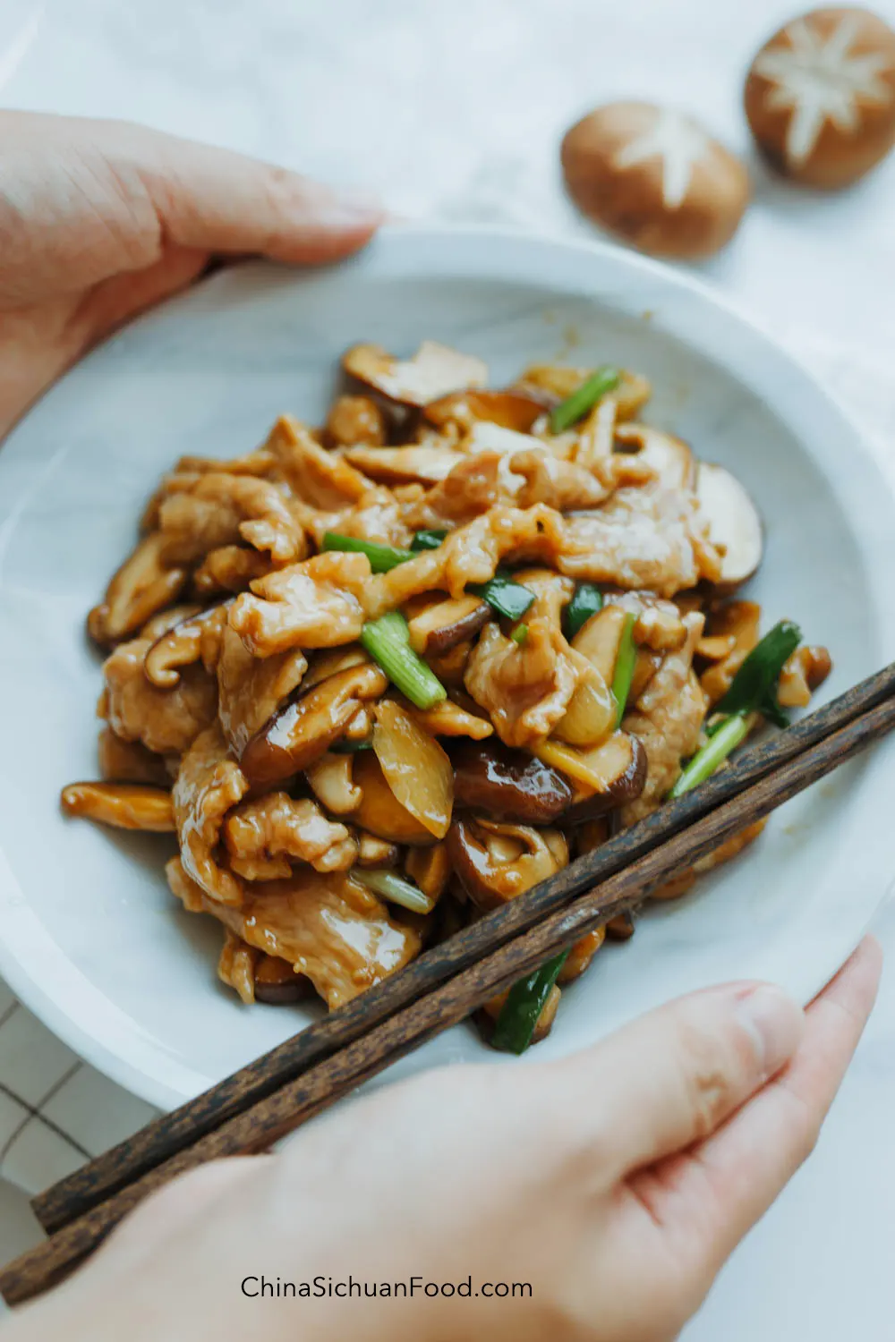 pork and mushroom stir fry|chinasichuanfood.com