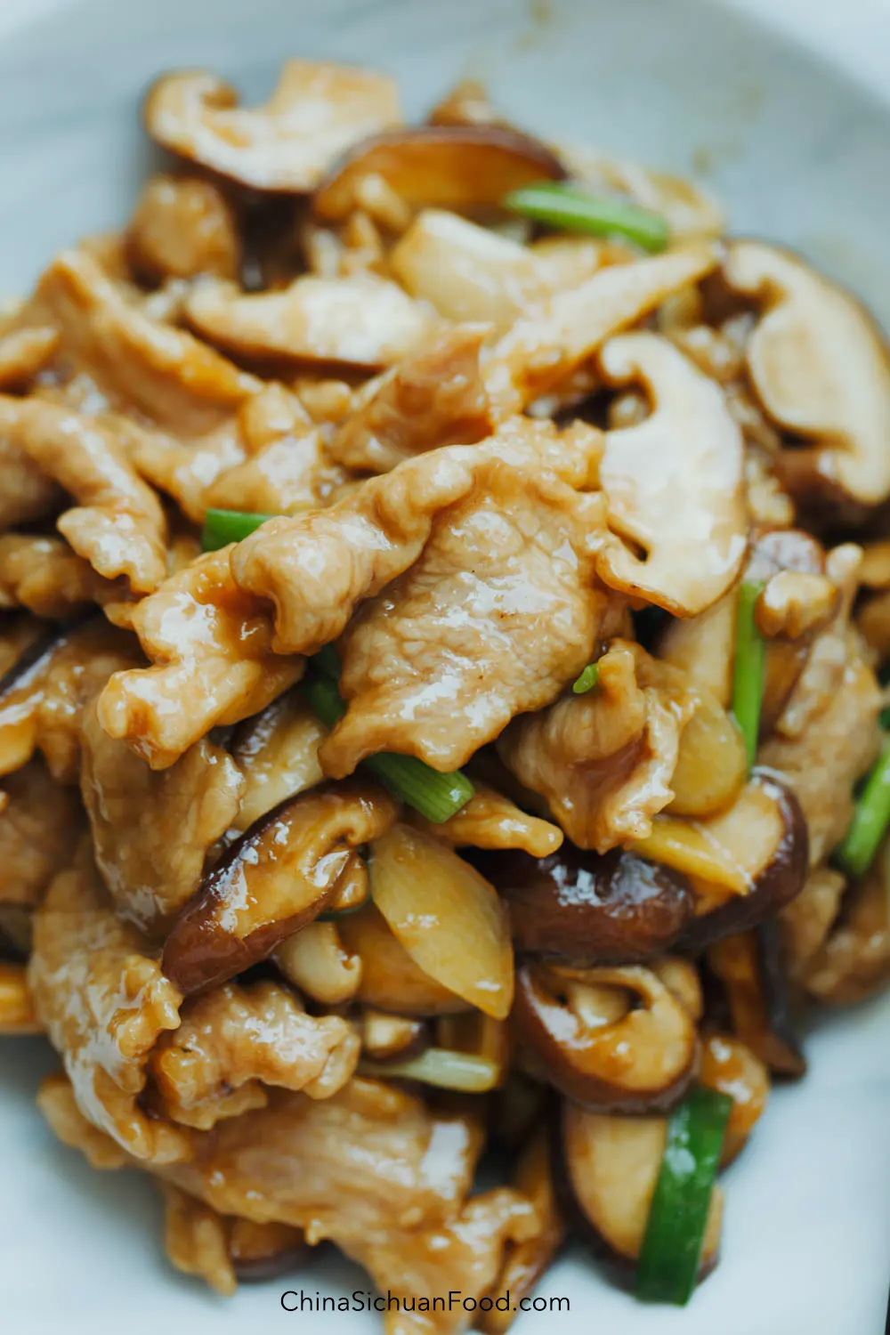 pork and mushroom stir fry|chinasichuanfood.com