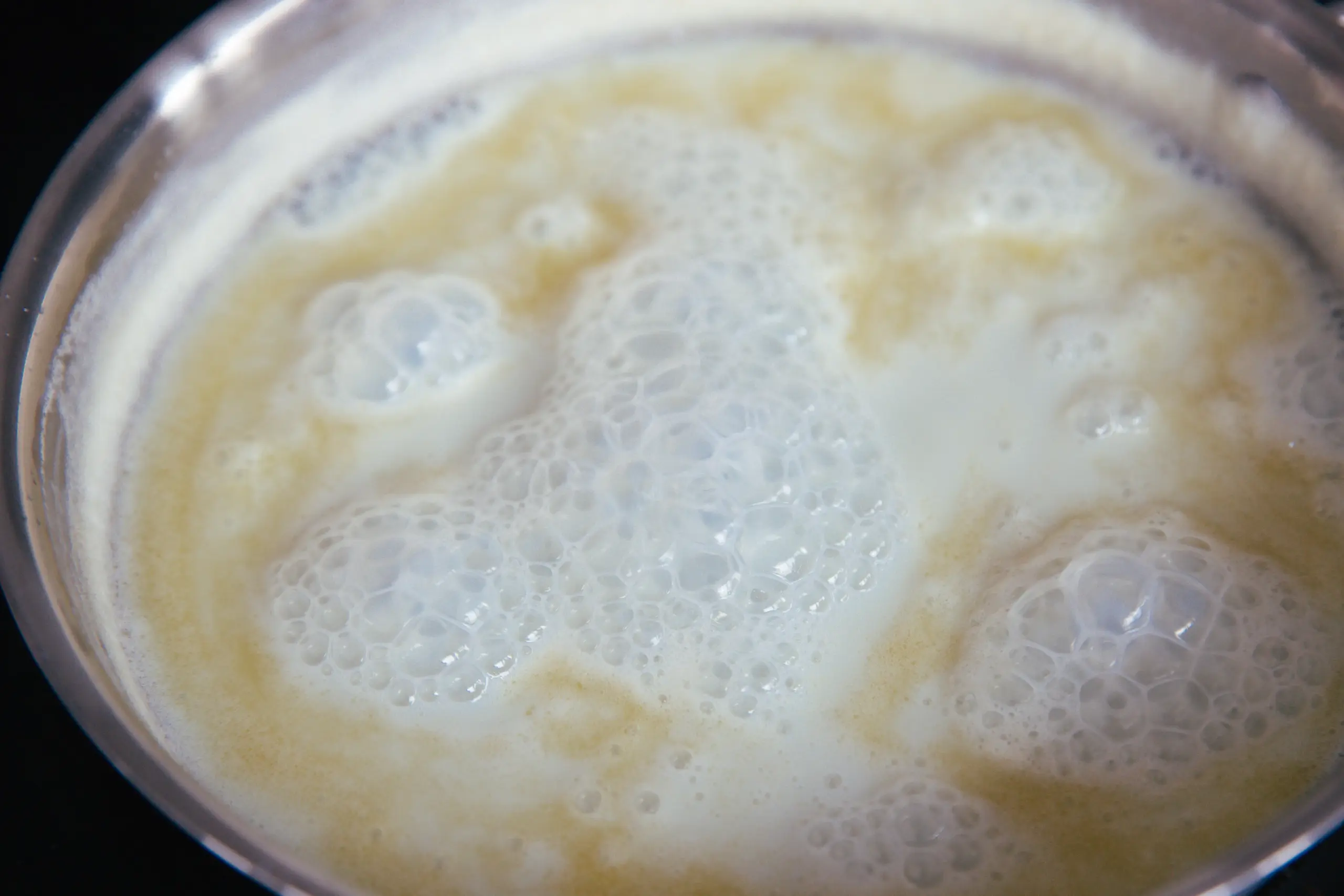 sweetened condensed milk | chinasichuanfood.com